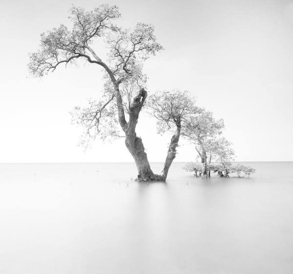 Photograph Dimas Yulianto Z Landscape on One Eyeland